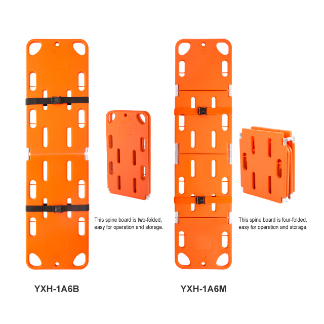 Rescue de la planche de la colonne vertébrale